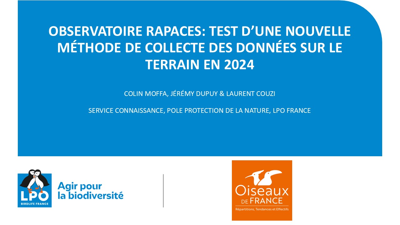 09_03_2025 09 mars comptage Obs des Rapaces